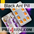 Black Ant Pill new12